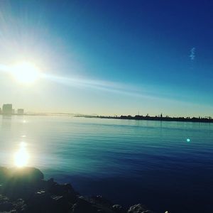 Meet your Posher, Loretta